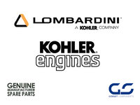 Engine Belt Kohler Lombardini ED0024401230-S (Old Ref.: ED0024001170-S)