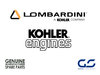 Jauge de niveau d'huile Kohler Lombardini (ED0014004560-S)